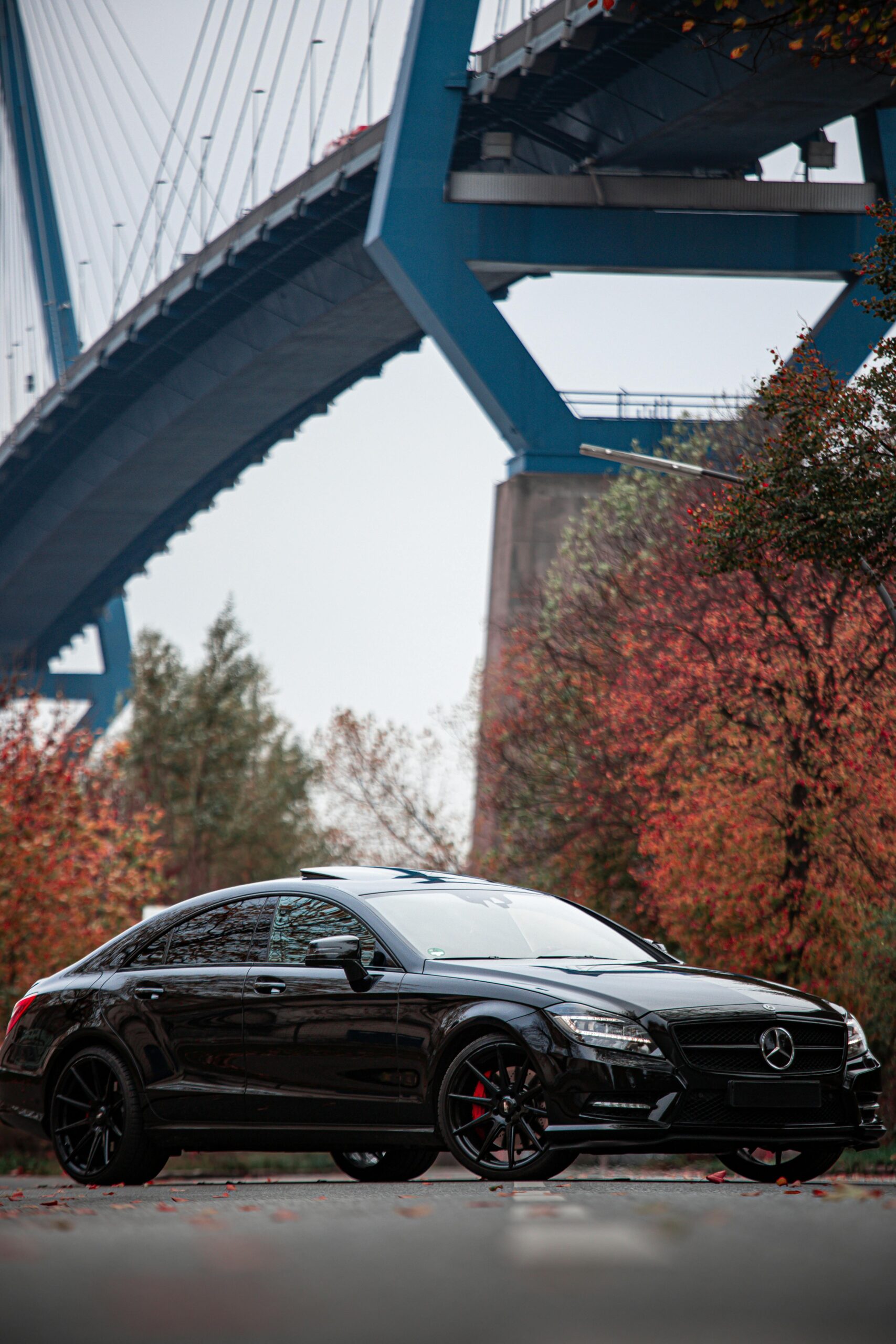 Black luxury car parked under a bridge with autumn foliage in Hamburg.